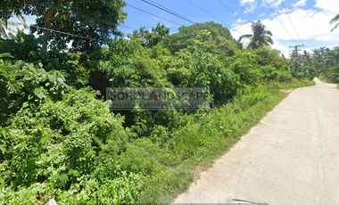 Residential Lot For Sale near Beach located in Bil-isan, Panglao, Bohol