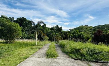 SEAVIEW AND MOUNTAIN VIEW HOUSE AND LOT FOR SALE BACLAYON BOHOL