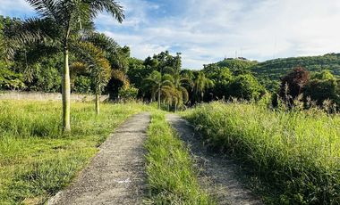 SEAVIEW AND MOUNTAIN VIEW HOUSE AND LOT FOR SALE BACLAYON BOHOL