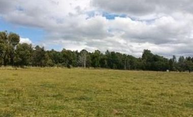 Linda parcela  Sin Reglamento Copropiedad. a solo 13 minutos de Villarrica