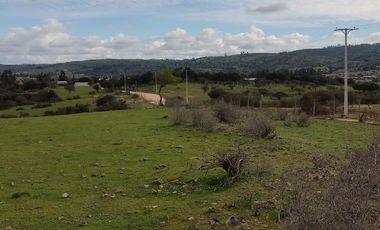 Oportunidad de inversión, venta de parcelas 5000 m2 , Litueche