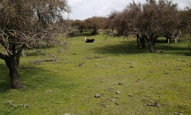 Oportunidad de inversión, venta de parcelas 5000 m2 , Litueche