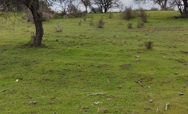 Oportunidad de inversión, venta de parcelas 5000 m2 , Litueche