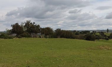 Oportunidad de inversión, venta de parcelas 5000 m2 , Litueche