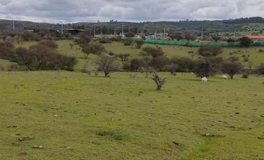 Oportunidad de inversión, venta de parcelas 5000 m2 , Litueche