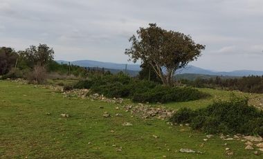 Oportunidad de inversión, venta de parcelas 5000 m2 , Litueche