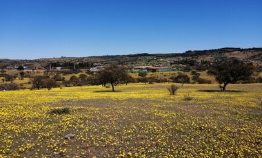 Oportunidad de inversión, venta de parcelas 5000 m2 , Litueche