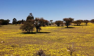 Oportunidad de inversión, venta de parcelas 5000 m2 , Litueche