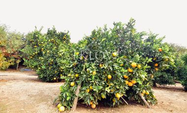 Casa 4D4B en Condominio, Curacaví