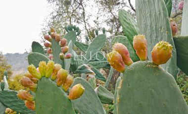 Casa 4D4B en Condominio, Curacaví