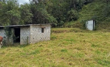 RUMIPAMBA, sector la Moca, vendo 2706m2 de terreno con frente a la vía, con construcción, tiene luz y agua