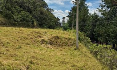 RUMIPAMBA, sector la Moca, vendo 2706m2 de terreno con frente a la vía, con construcción, tiene luz y agua