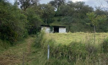 RUMIPAMBA, sector la Moca, vendo 2706m2 de terreno con frente a la vía, con construcción, tiene luz y agua