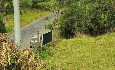 RUMIPAMBA, sector la Moca, vendo 2706m2 de terreno con frente a la vía, con construcción, tiene luz y agua