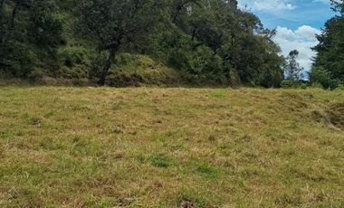 RUMIPAMBA, sector la Moca, vendo 2706m2 de terreno con frente a la vía, con construcción, tiene luz y agua