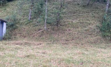 RUMIPAMBA, sector la Moca, vendo 2706m2 de terreno con frente a la vía, con construcción, tiene luz y agua