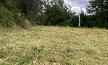 RUMIPAMBA, sector la Moca, vendo 2706m2 de terreno con frente a la vía, con construcción, tiene luz y agua