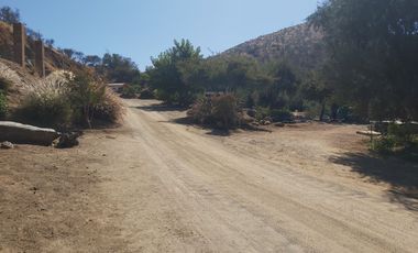 GRAN PARCELA CON CASA DE 5000 M2 EN EL CENTRO DE CURACAVI