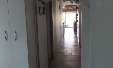 GRAN PARCELA CON CASA DE 5000 M2 EN EL CENTRO DE CURACAVI