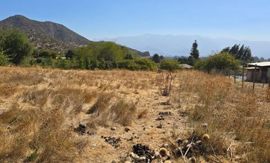 Parcela El Molino La Punta de Codegua