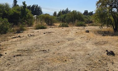 Parcela El Molino La Punta de Codegua