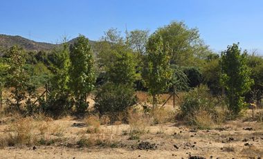 Parcela El Molino La Punta de Codegua