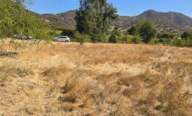 Parcela El Molino La Punta de Codegua