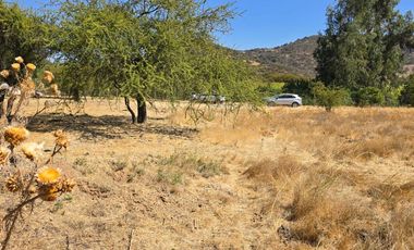 Parcela El Molino La Punta de Codegua