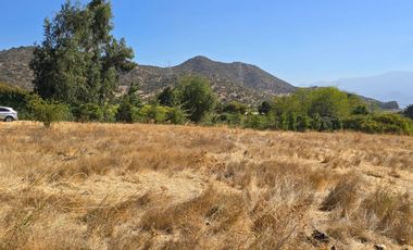 Parcela El Molino La Punta de Codegua