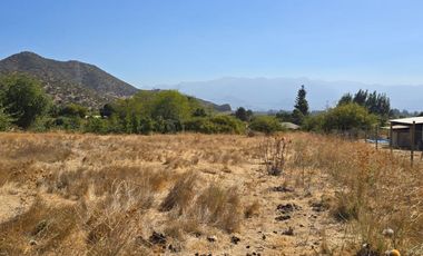 Parcela El Molino La Punta de Codegua