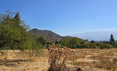 Parcela El Molino La Punta de Codegua