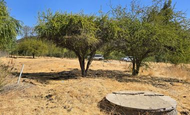 Parcela El Molino La Punta de Codegua