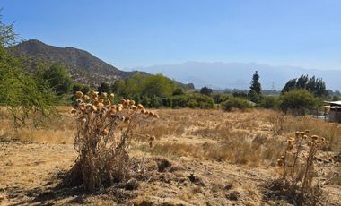 Parcela El Molino La Punta de Codegua