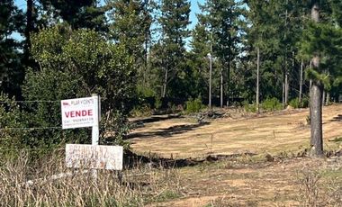Terreno Con Hermosa Vista , Pichilemu