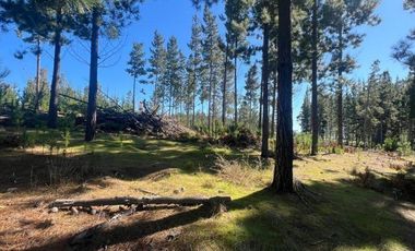 Terreno Con Hermosa Vista , Pichilemu
