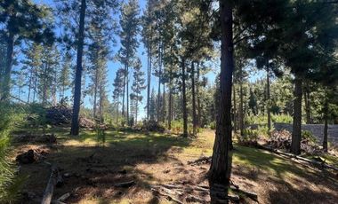Terreno Con Hermosa Vista , Pichilemu
