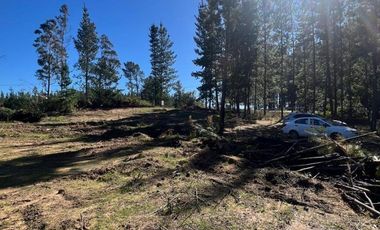Terreno Con Hermosa Vista , Pichilemu