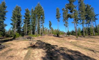 Terreno Con Hermosa Vista , Pichilemu
