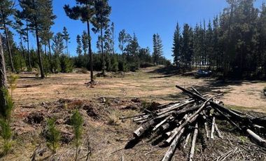 Terreno Con Hermosa Vista , Pichilemu