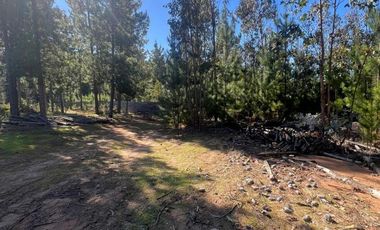 Terreno Con Hermosa Vista , Pichilemu