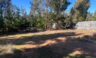 Terreno Con Hermosa Vista , Pichilemu