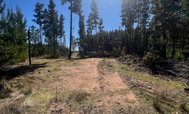Terreno Con Hermosa Vista , Pichilemu
