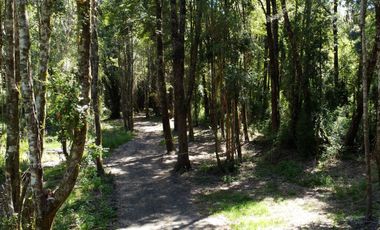 ¡Una Parcela Soñada con 35mts de Orilla de Río Petrohué!