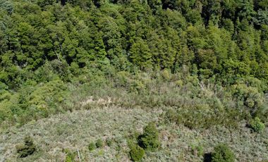 ¡Una Parcela Soñada con 35mts de Orilla de Río Petrohué!