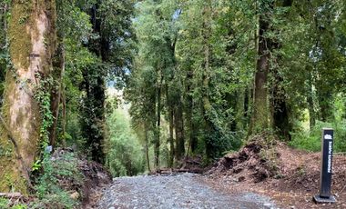 ¡Una Parcela Soñada con 35mts de Orilla de Río Petrohué!