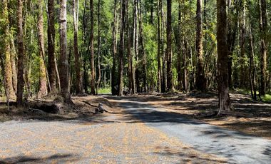 ¡Una Parcela Soñada con 35mts de Orilla de Río Petrohué!