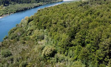¡Una Parcela Soñada con 35mts de Orilla de Río Petrohué!