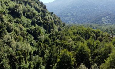 ¡Una Parcela Soñada con 35mts de Orilla de Río Petrohué!