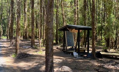 ¡Una Parcela Soñada con 35mts de Orilla de Río Petrohué!