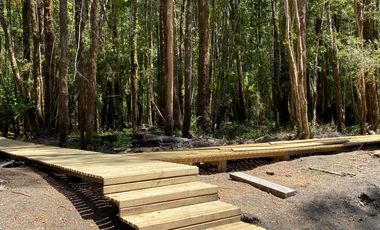 ¡Una Parcela Soñada con 35mts de Orilla de Río Petrohué!